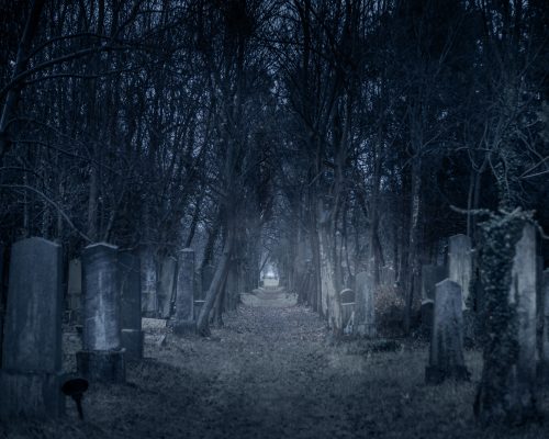 Old cemetery. Creepy background.